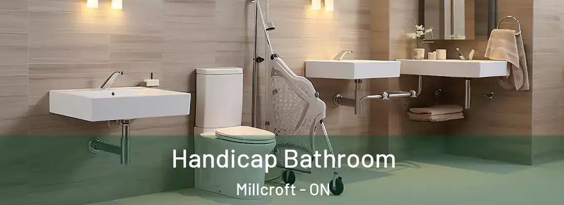  Handicap Bathroom Millcroft - ON