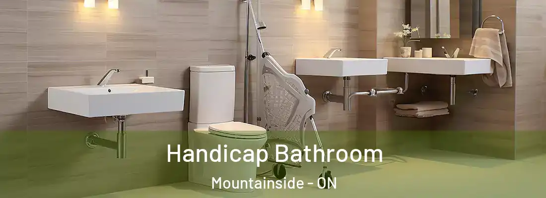  Handicap Bathroom Mountainside - ON