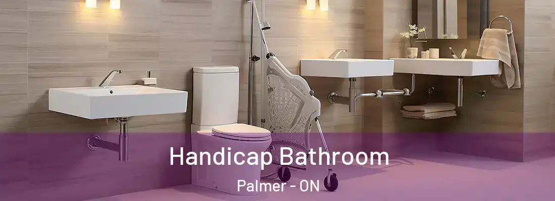  Handicap Bathroom Palmer - ON