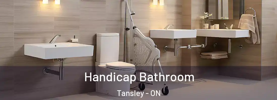  Handicap Bathroom Tansley - ON