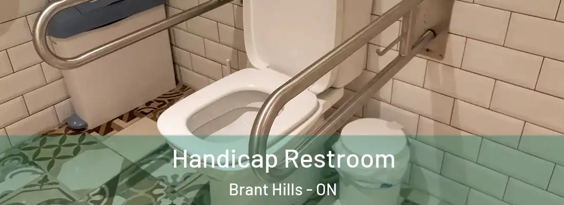  Handicap Restroom Brant Hills - ON