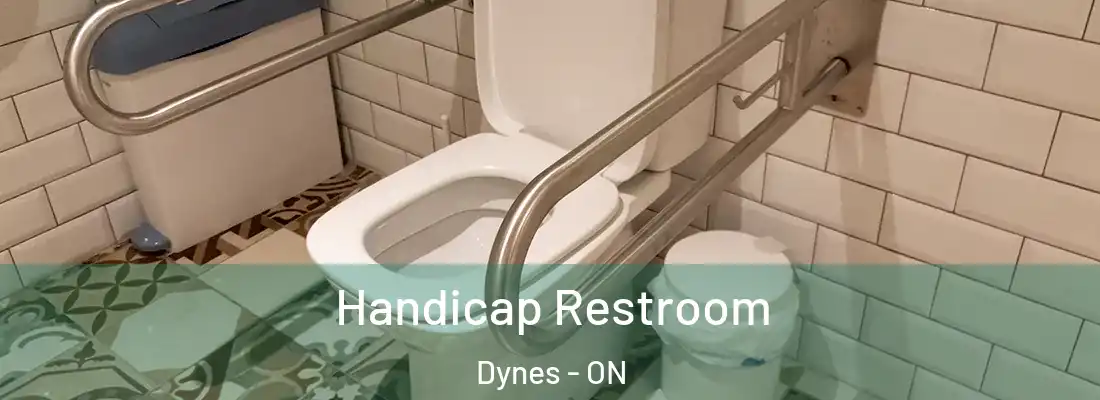  Handicap Restroom Dynes - ON