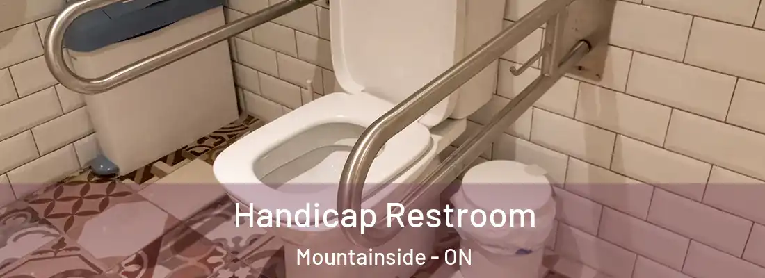  Handicap Restroom Mountainside - ON