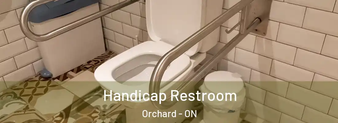  Handicap Restroom Orchard - ON