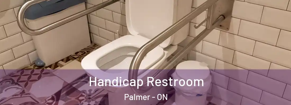  Handicap Restroom Palmer - ON