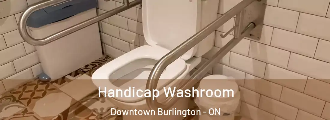  Handicap Washroom Downtown Burlington - ON