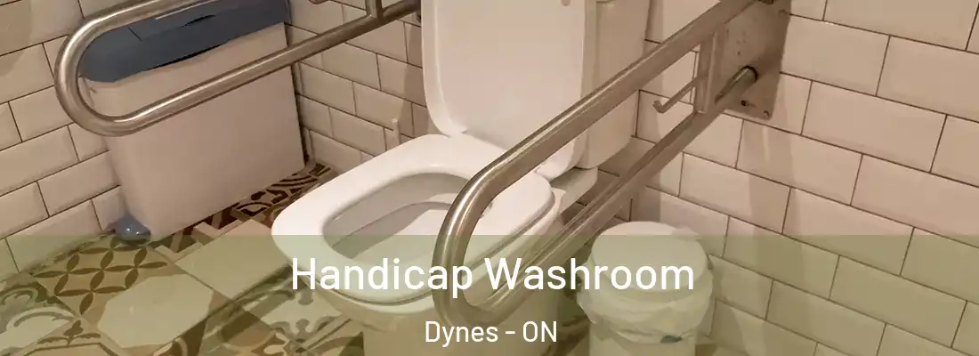  Handicap Washroom Dynes - ON