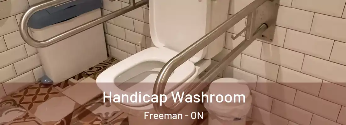  Handicap Washroom Freeman - ON