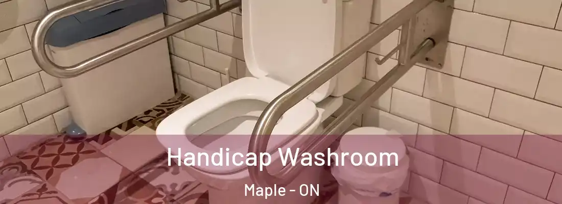  Handicap Washroom Maple - ON