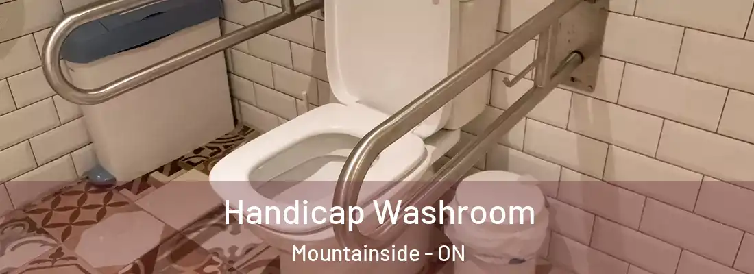 Handicap Washroom Mountainside - ON