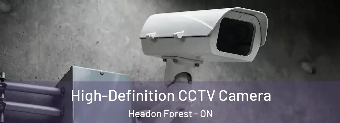  High-Definition CCTV Camera Headon Forest - ON