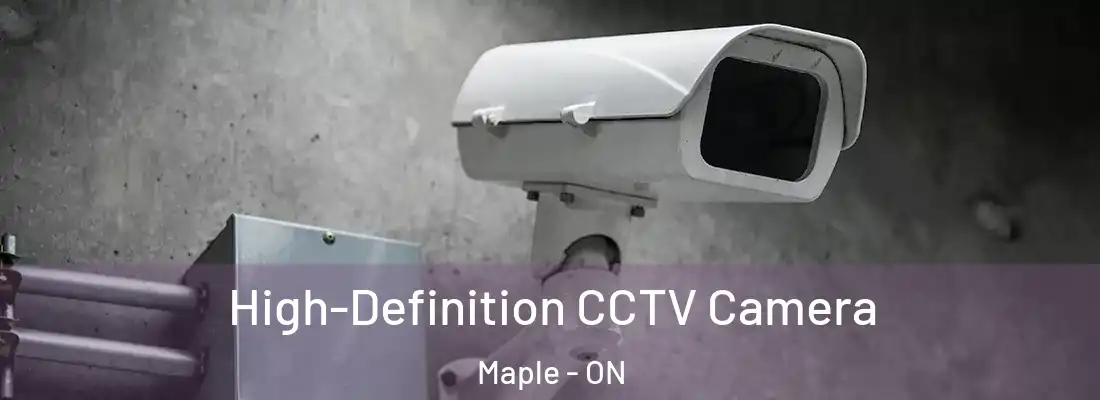  High-Definition CCTV Camera Maple - ON