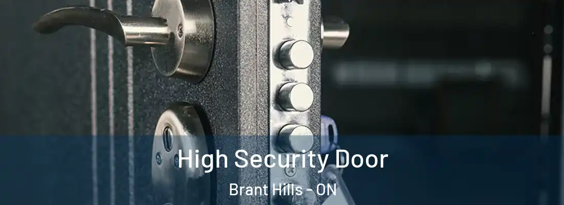  High Security Door Brant Hills - ON