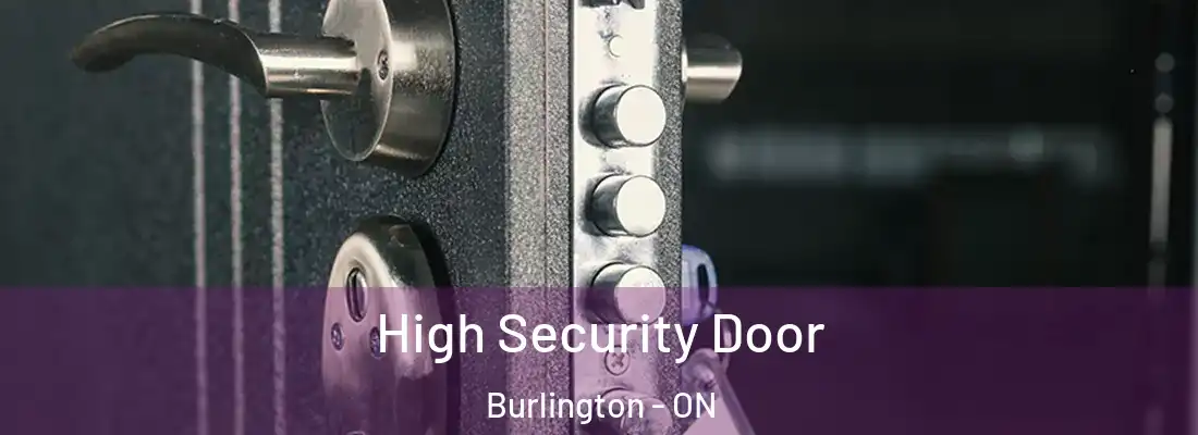  High Security Door Burlington - ON