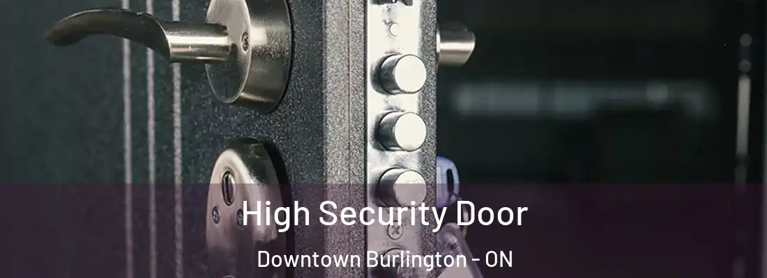  High Security Door Downtown Burlington - ON