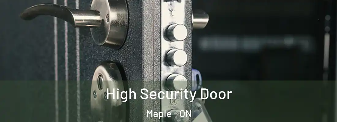  High Security Door Maple - ON