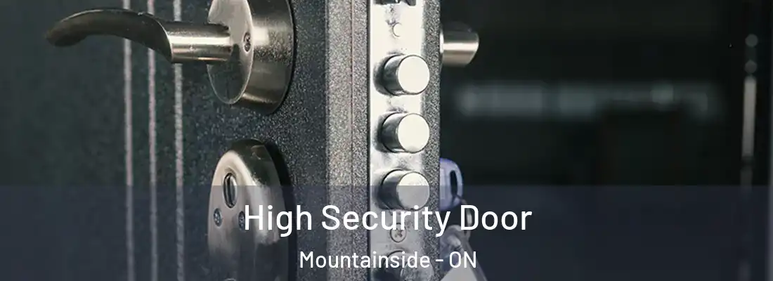  High Security Door Mountainside - ON
