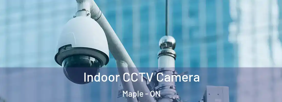  Indoor CCTV Camera Maple - ON