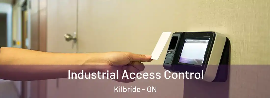  Industrial Access Control Kilbride - ON