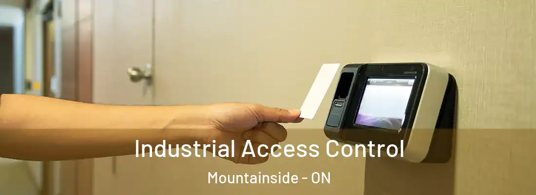  Industrial Access Control Mountainside - ON