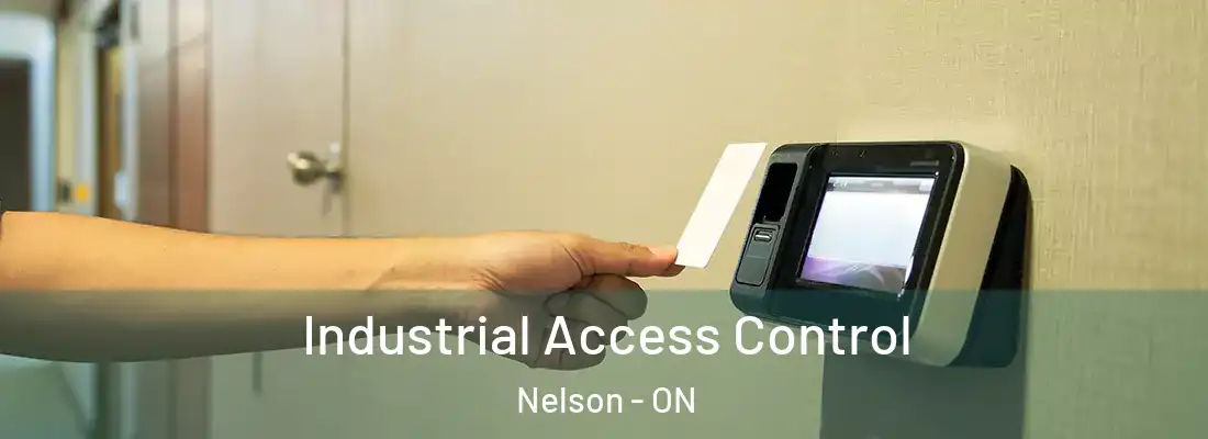  Industrial Access Control Nelson - ON