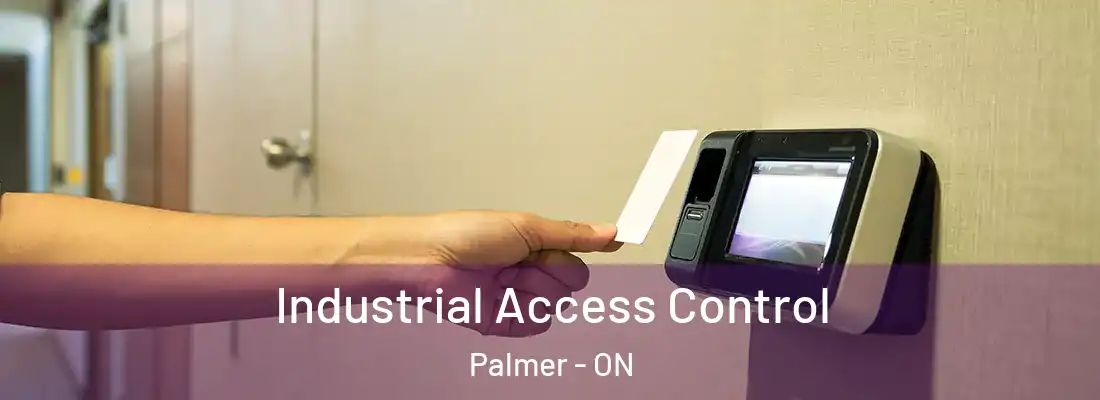  Industrial Access Control Palmer - ON