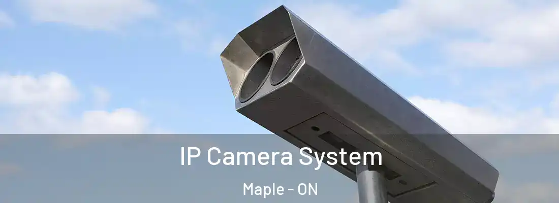  IP Camera System Maple - ON