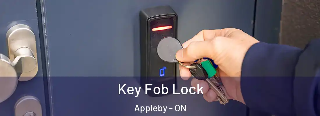  Key Fob Lock Appleby - ON