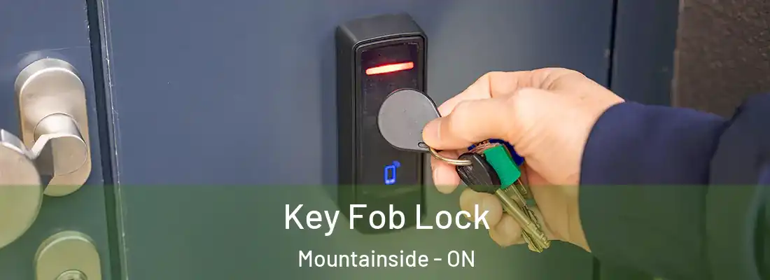  Key Fob Lock Mountainside - ON