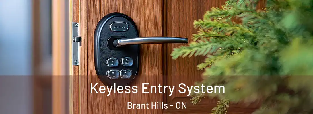  Keyless Entry System Brant Hills - ON