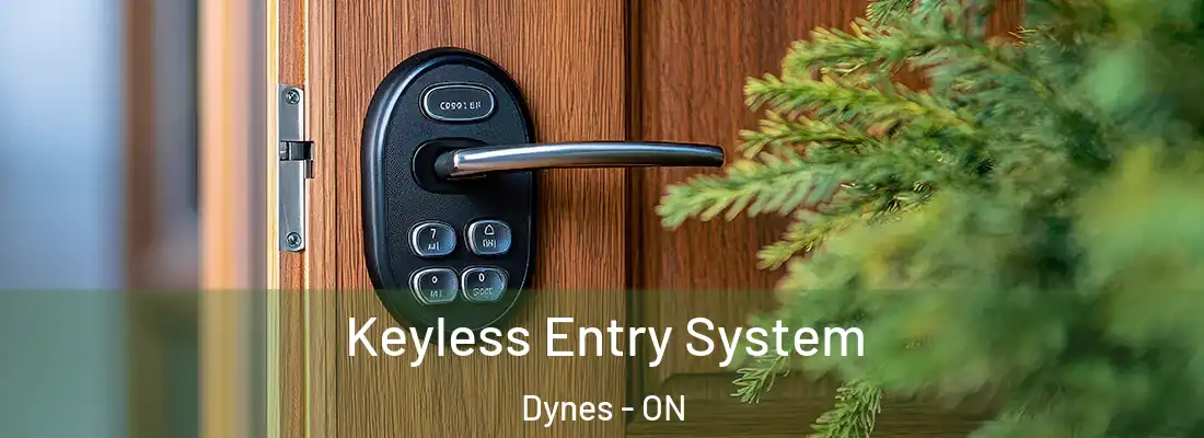  Keyless Entry System Dynes - ON