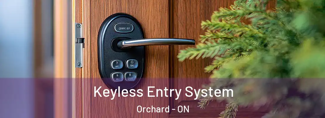  Keyless Entry System Orchard - ON