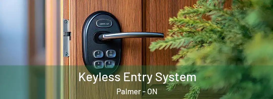  Keyless Entry System Palmer - ON
