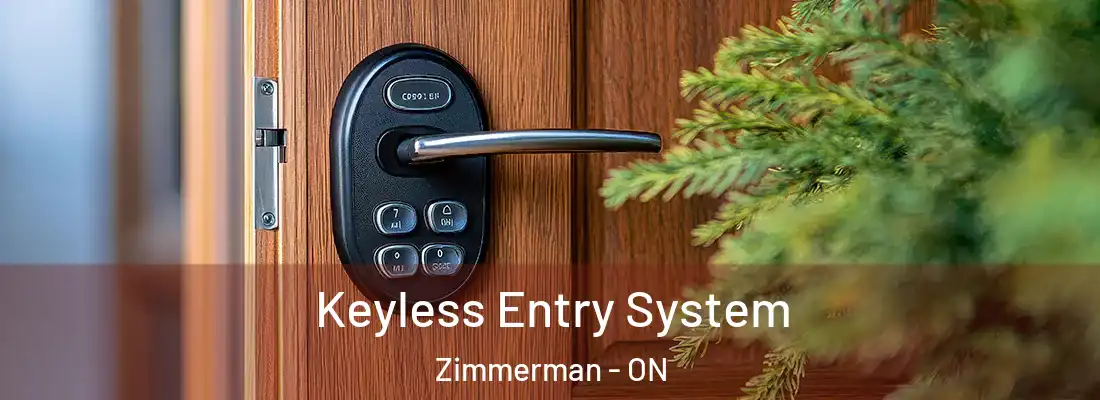  Keyless Entry System Zimmerman - ON