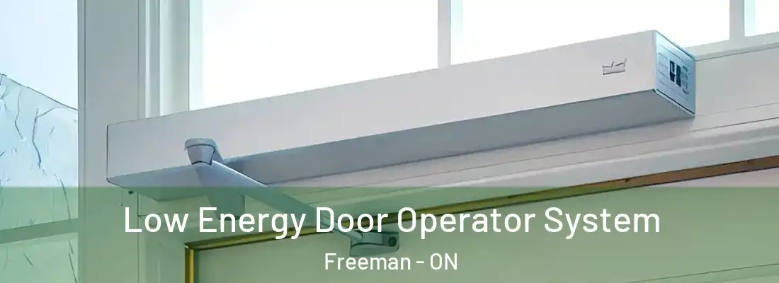  Low Energy Door Operator System Freeman - ON