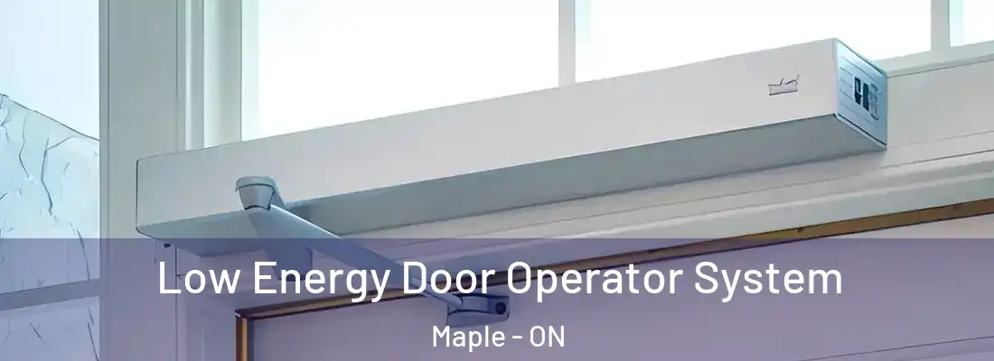 Low Energy Door Operator System Maple - ON