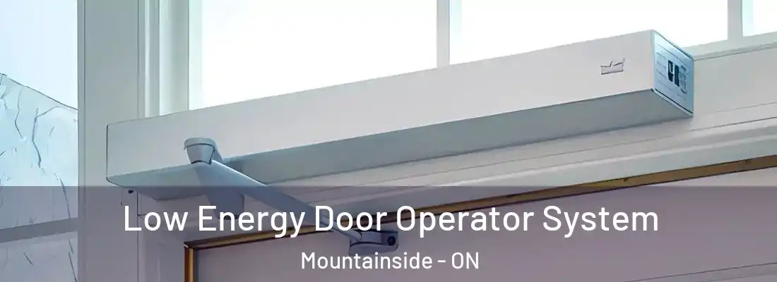  Low Energy Door Operator System Mountainside - ON