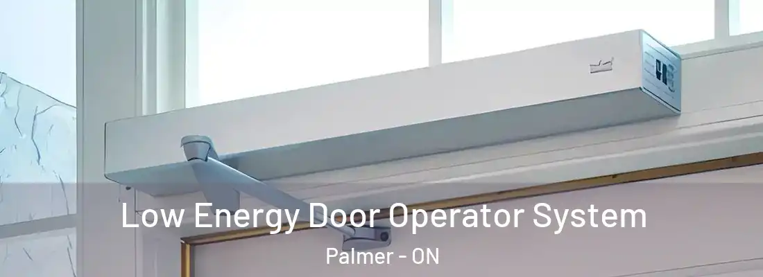  Low Energy Door Operator System Palmer - ON