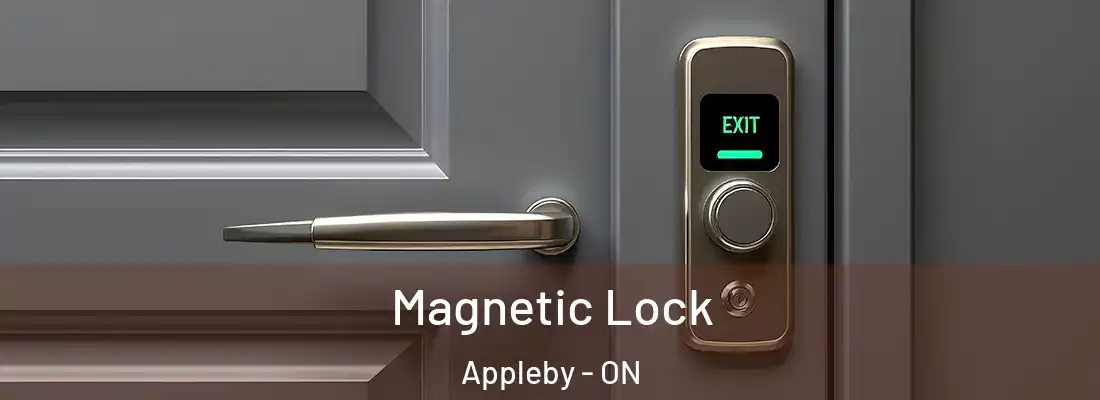  Magnetic Lock Appleby - ON