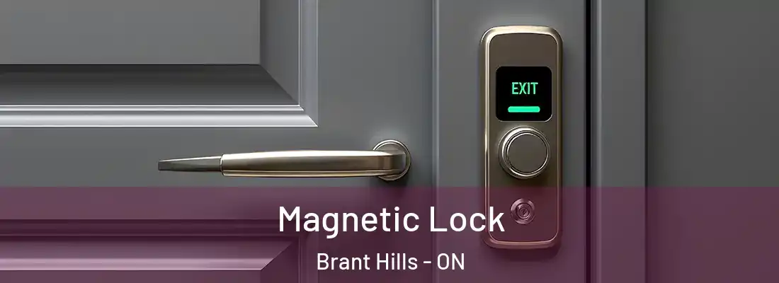  Magnetic Lock Brant Hills - ON