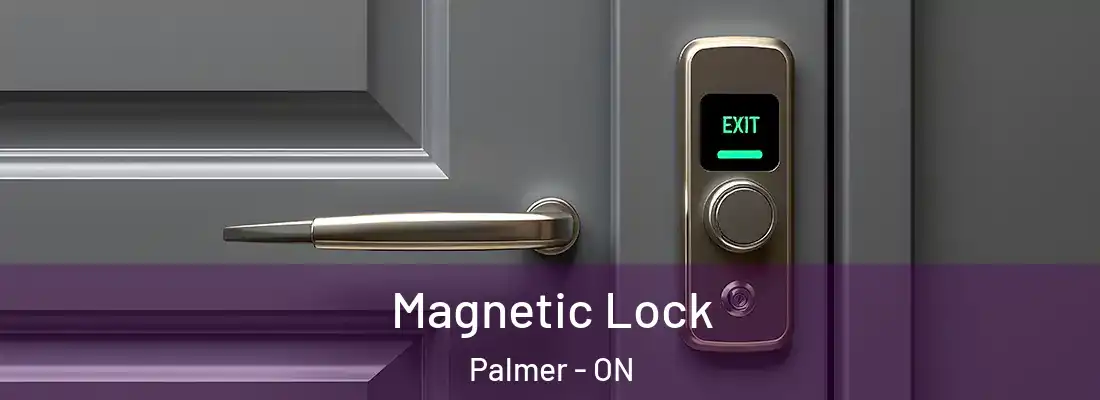  Magnetic Lock Palmer - ON