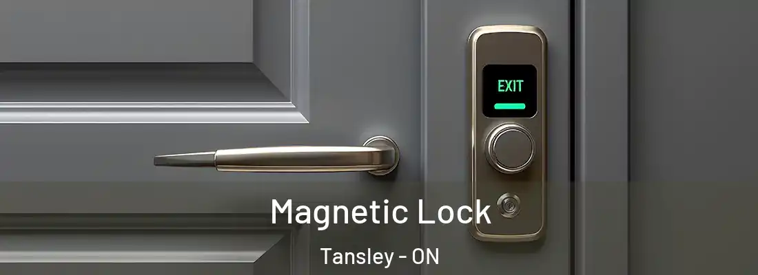  Magnetic Lock Tansley - ON