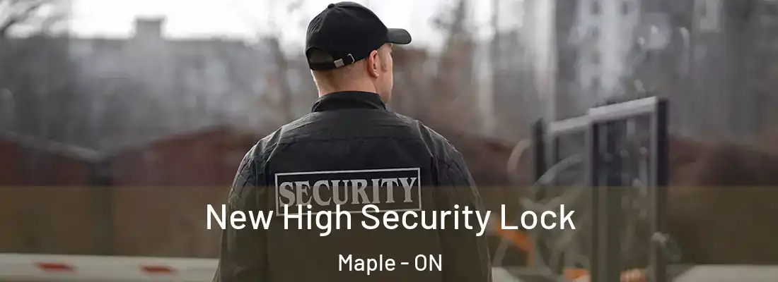  New High Security Lock Maple - ON