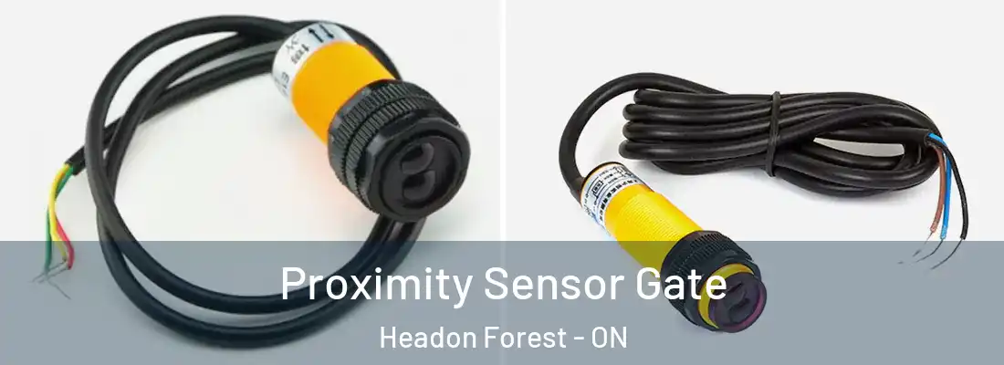  Proximity Sensor Gate Headon Forest - ON