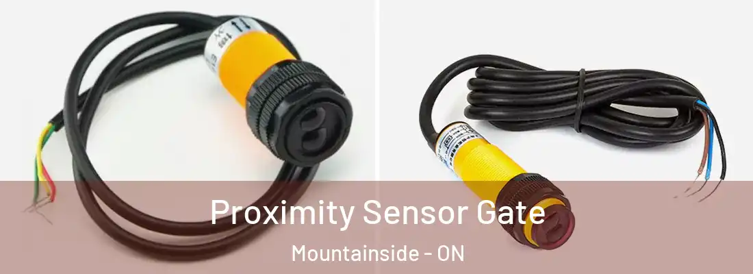  Proximity Sensor Gate Mountainside - ON