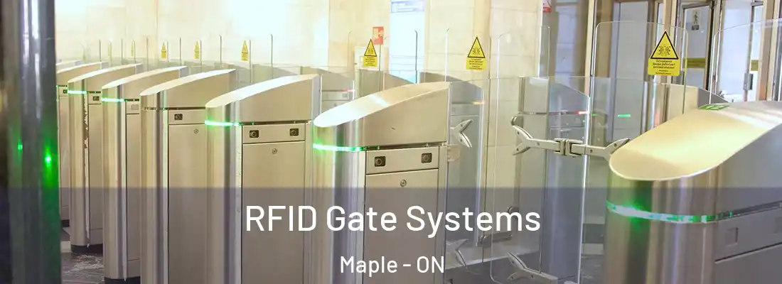  RFID Gate Systems Maple - ON