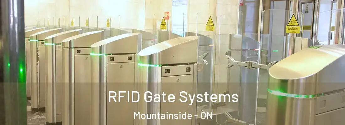 RFID Gate Systems Mountainside - ON