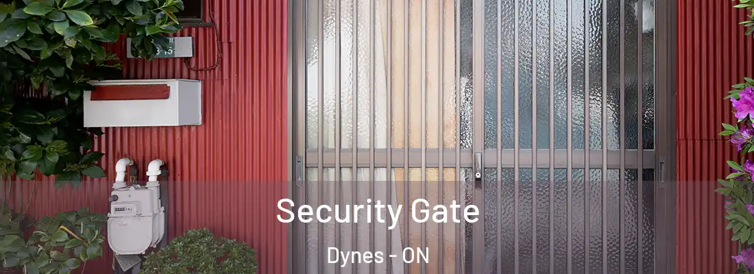  Security Gate Dynes - ON