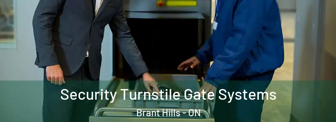  Security Turnstile Gate Systems Brant Hills - ON