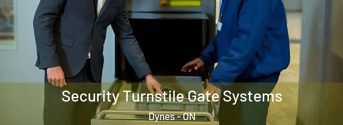  Security Turnstile Gate Systems Dynes - ON